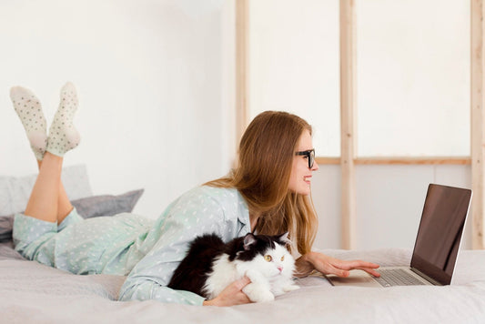 Pet Owners' Guide: Keep Your DuuDuu Mattress Clean and Durable in Australia - DuuDuu Mattress